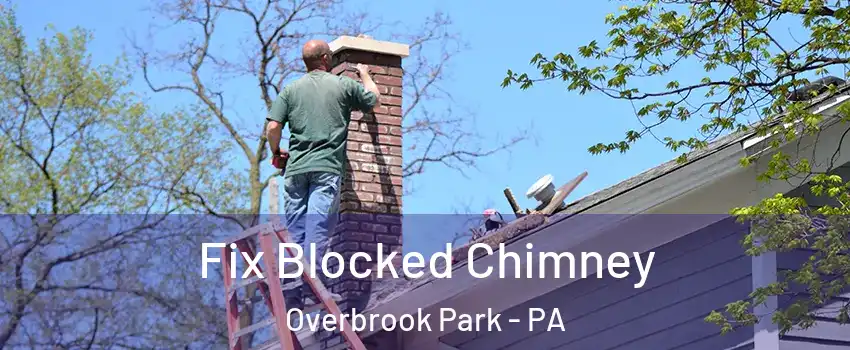Fix Blocked Chimney Overbrook Park - PA