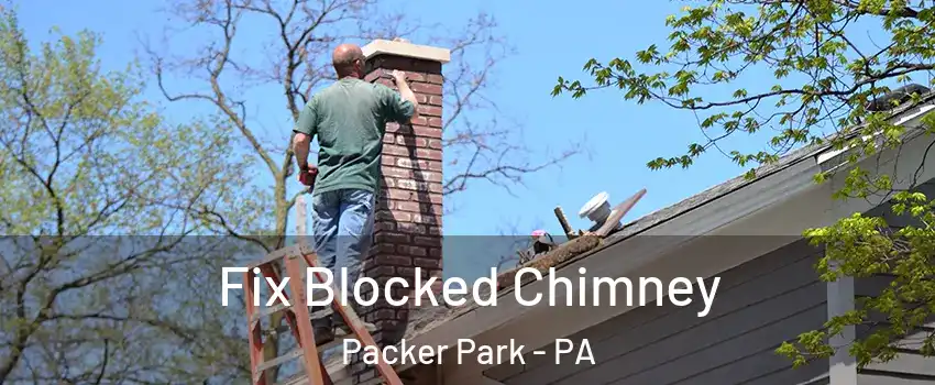 Fix Blocked Chimney Packer Park - PA