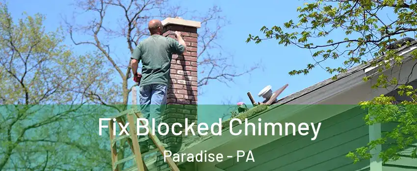 Fix Blocked Chimney Paradise - PA