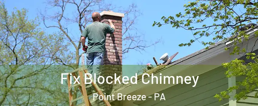 Fix Blocked Chimney Point Breeze - PA