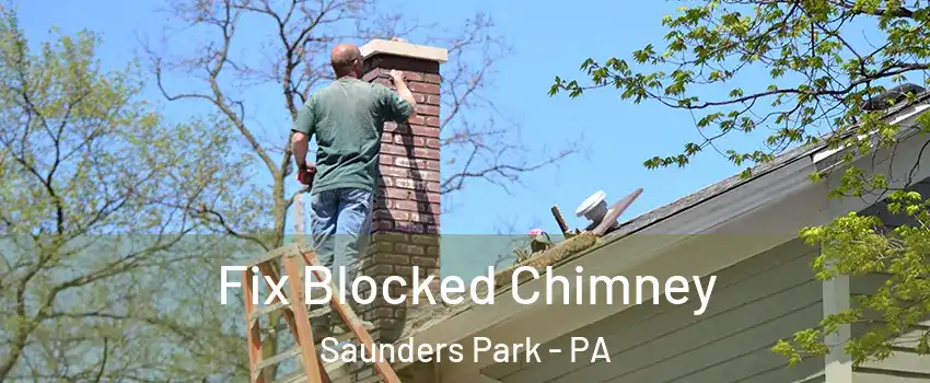 Fix Blocked Chimney Saunders Park - PA