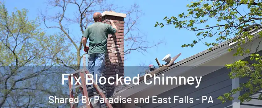 Fix Blocked Chimney Shared By Paradise and East Falls - PA