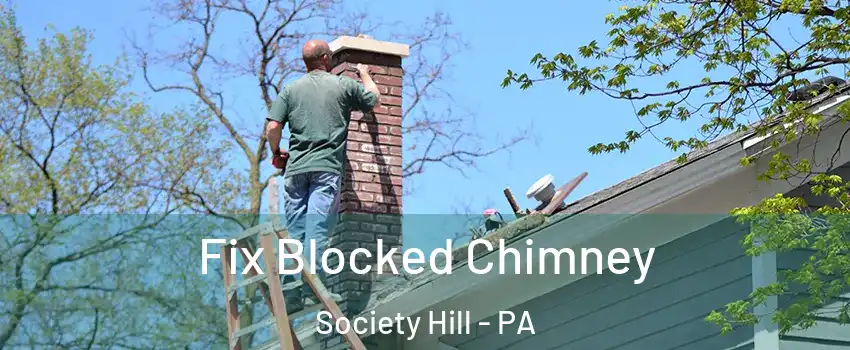 Fix Blocked Chimney Society Hill - PA