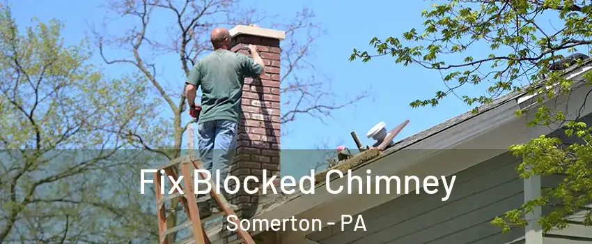 Fix Blocked Chimney Somerton - PA