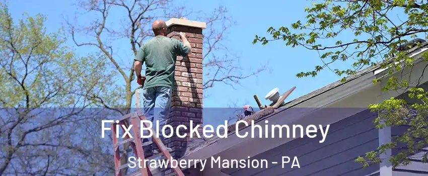 Fix Blocked Chimney Strawberry Mansion - PA