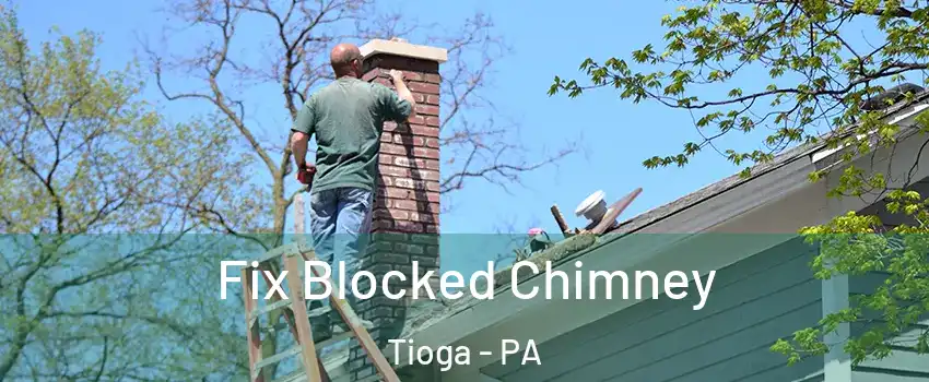 Fix Blocked Chimney Tioga - PA