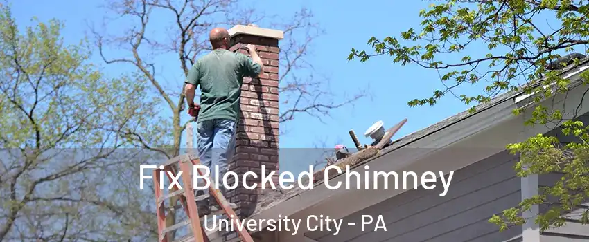 Fix Blocked Chimney University City - PA