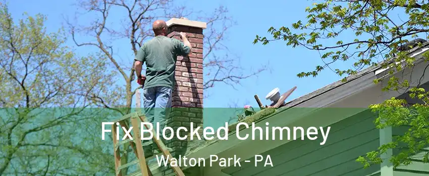 Fix Blocked Chimney Walton Park - PA