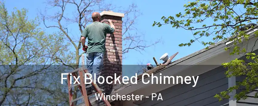 Fix Blocked Chimney Winchester - PA
