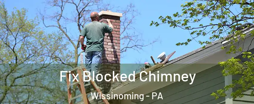 Fix Blocked Chimney Wissinoming - PA