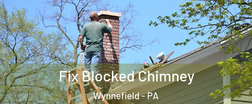 Fix Blocked Chimney Wynnefield - PA