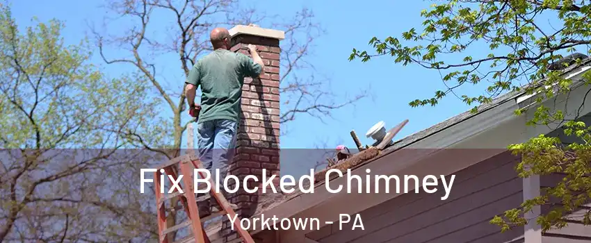 Fix Blocked Chimney Yorktown - PA