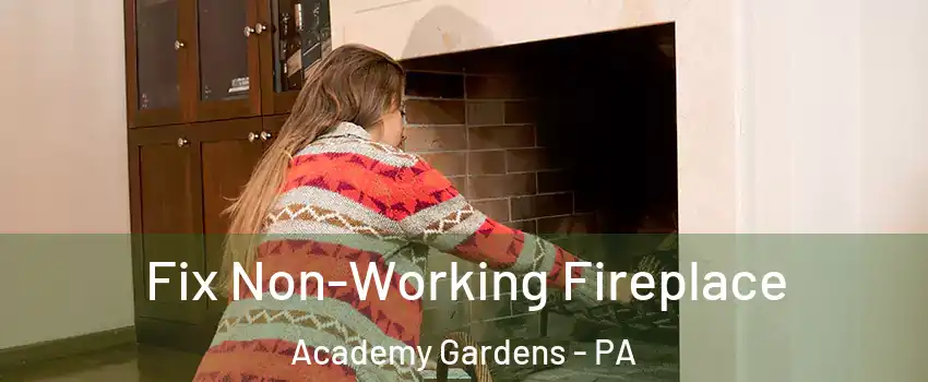Fix Non-Working Fireplace Academy Gardens - PA