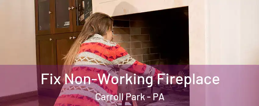 Fix Non-Working Fireplace Carroll Park - PA