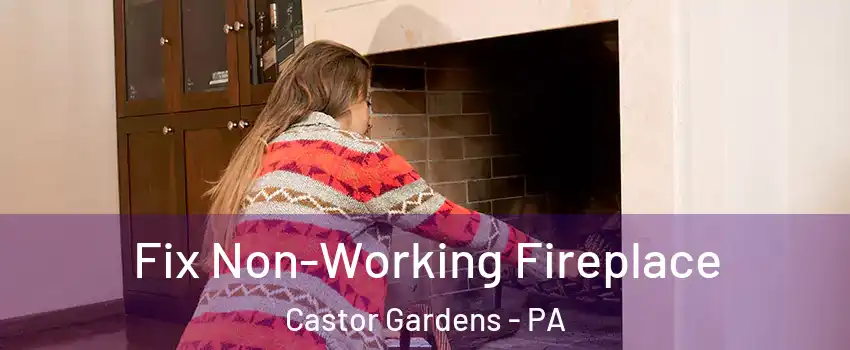 Fix Non-Working Fireplace Castor Gardens - PA