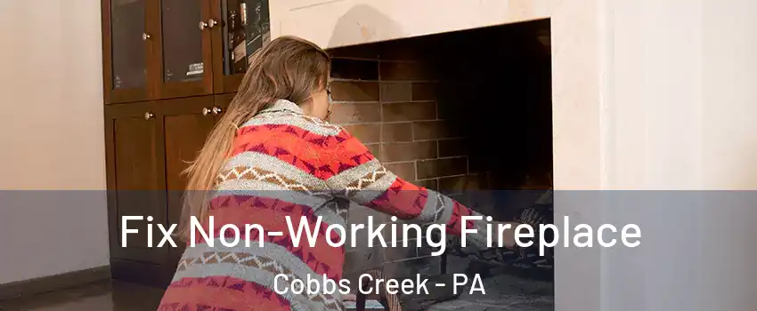 Fix Non-Working Fireplace Cobbs Creek - PA