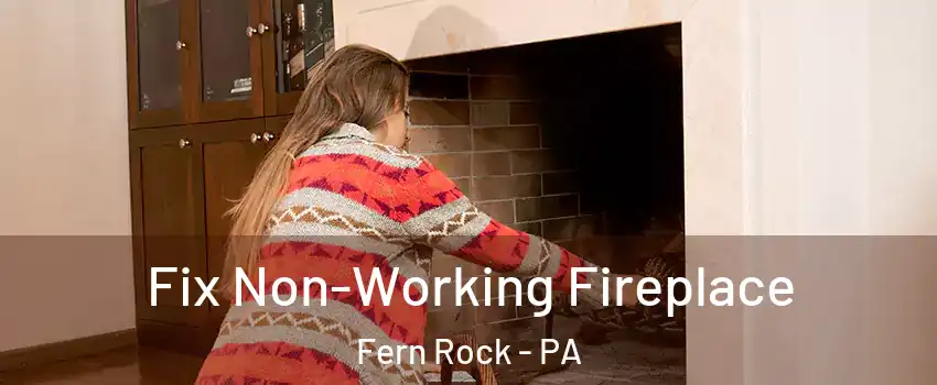 Fix Non-Working Fireplace Fern Rock - PA