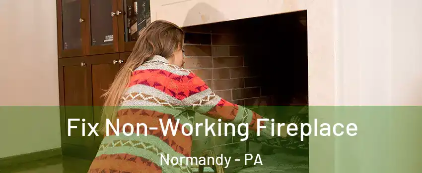 Fix Non-Working Fireplace Normandy - PA