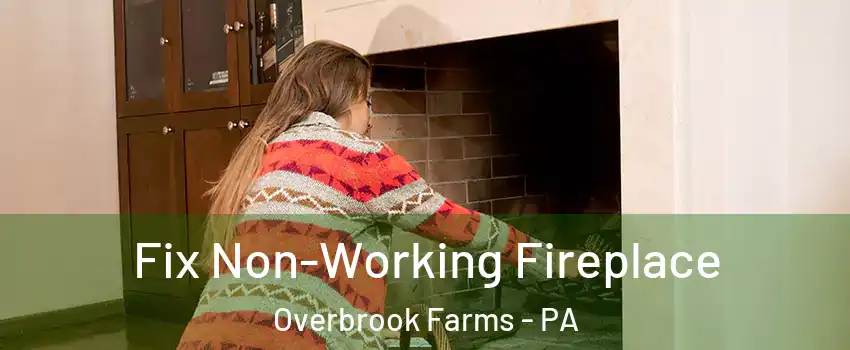 Fix Non-Working Fireplace Overbrook Farms - PA