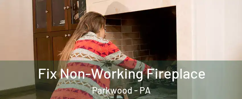 Fix Non-Working Fireplace Parkwood - PA