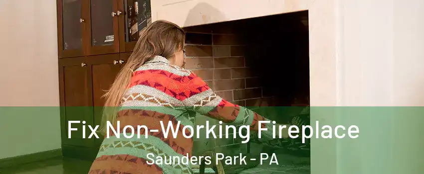 Fix Non-Working Fireplace Saunders Park - PA