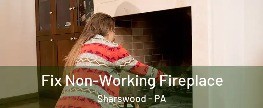 Fix Non-Working Fireplace Sharswood - PA