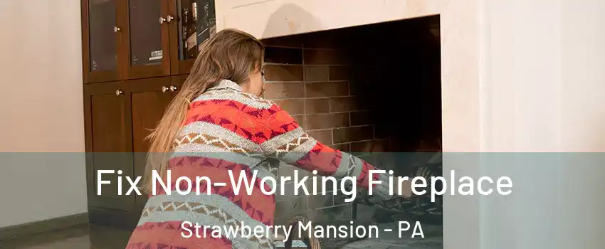 Fix Non-Working Fireplace Strawberry Mansion - PA
