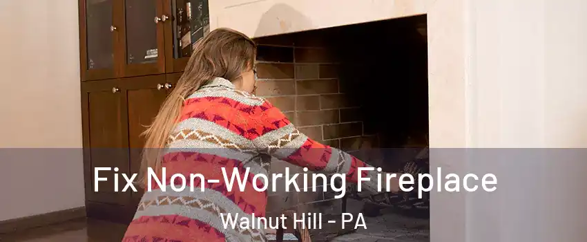 Fix Non-Working Fireplace Walnut Hill - PA
