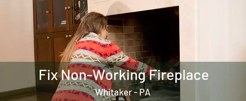 Fix Non-Working Fireplace Whitaker - PA