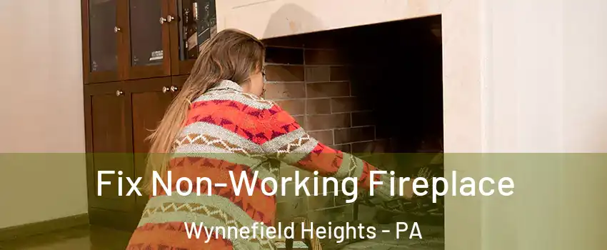 Fix Non-Working Fireplace Wynnefield Heights - PA
