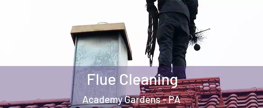 Flue Cleaning Academy Gardens - PA