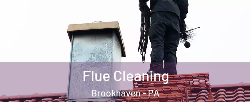 Flue Cleaning Brookhaven - PA