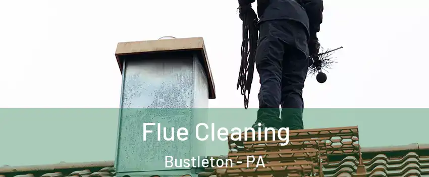 Flue Cleaning Bustleton - PA