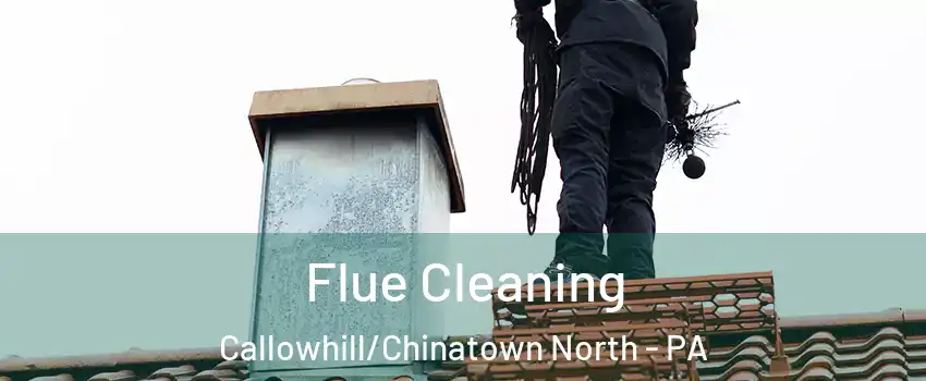 Flue Cleaning Callowhill/Chinatown North - PA