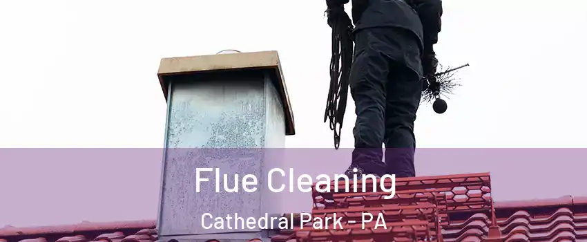 Flue Cleaning Cathedral Park - PA