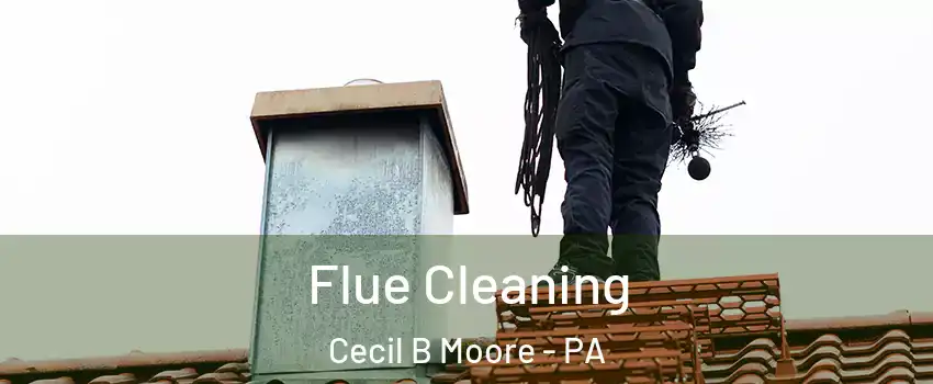 Flue Cleaning Cecil B Moore - PA