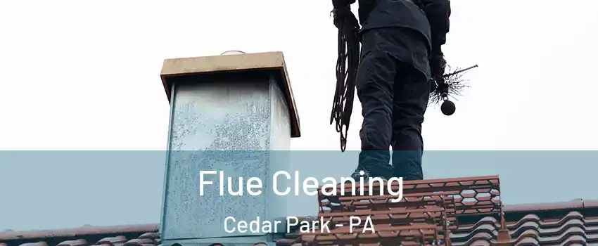 Flue Cleaning Cedar Park - PA