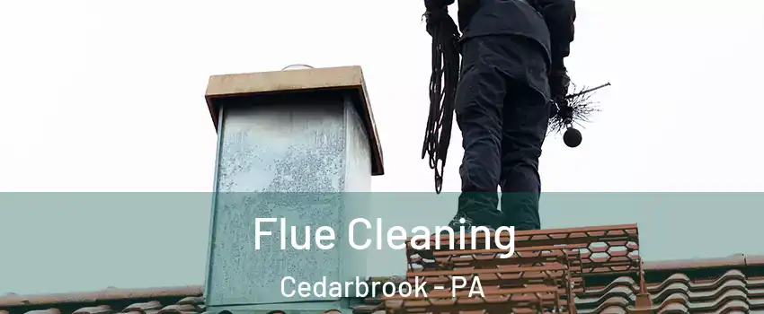 Flue Cleaning Cedarbrook - PA