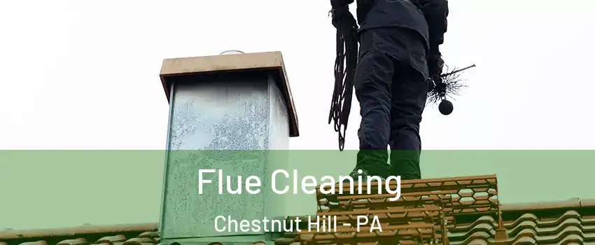 Flue Cleaning Chestnut Hill - PA
