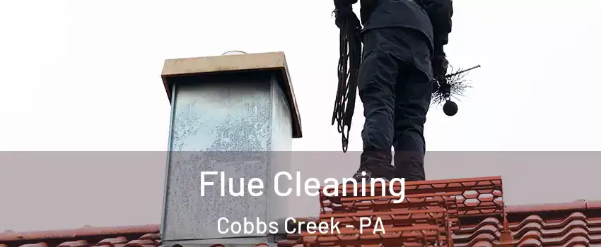 Flue Cleaning Cobbs Creek - PA