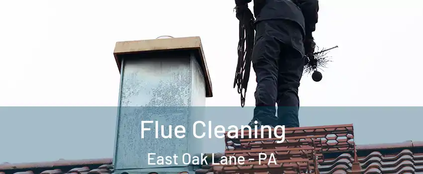 Flue Cleaning East Oak Lane - PA