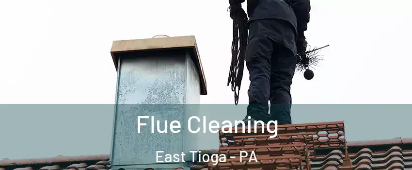 Flue Cleaning East Tioga - PA