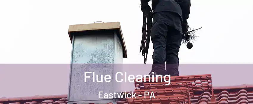 Flue Cleaning Eastwick - PA
