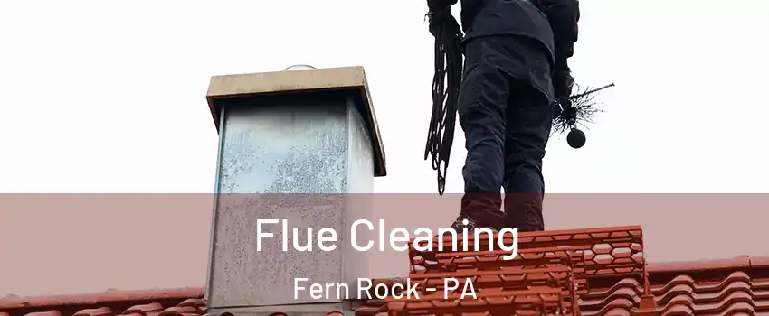 Flue Cleaning Fern Rock - PA
