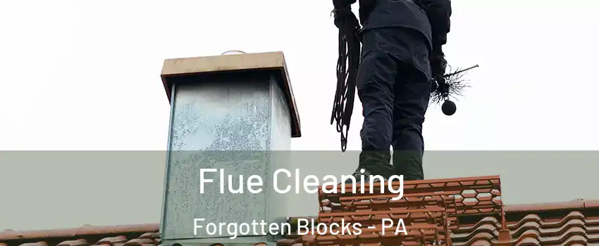 Flue Cleaning Forgotten Blocks - PA