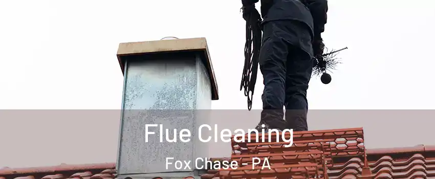 Flue Cleaning Fox Chase - PA
