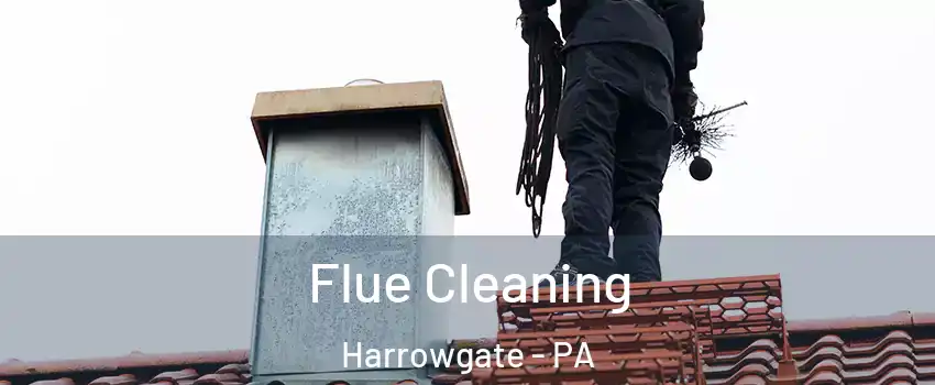 Flue Cleaning Harrowgate - PA