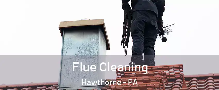 Flue Cleaning Hawthorne - PA