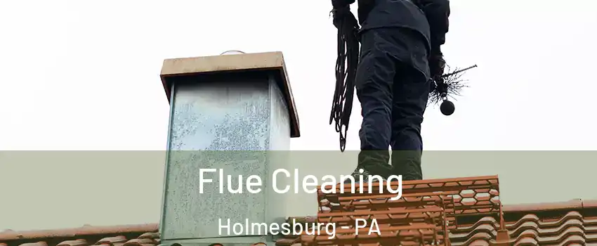 Flue Cleaning Holmesburg - PA