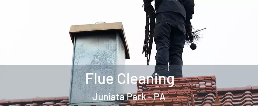 Flue Cleaning Juniata Park - PA